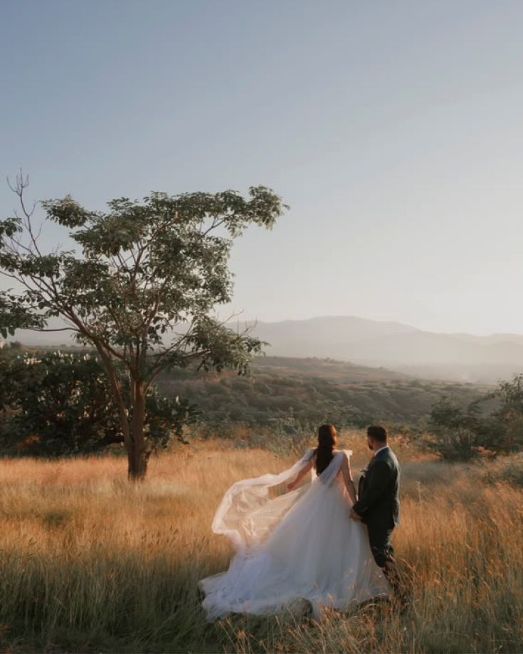A couple walking through golden grassland at sunset, her veil lifting in the breeze