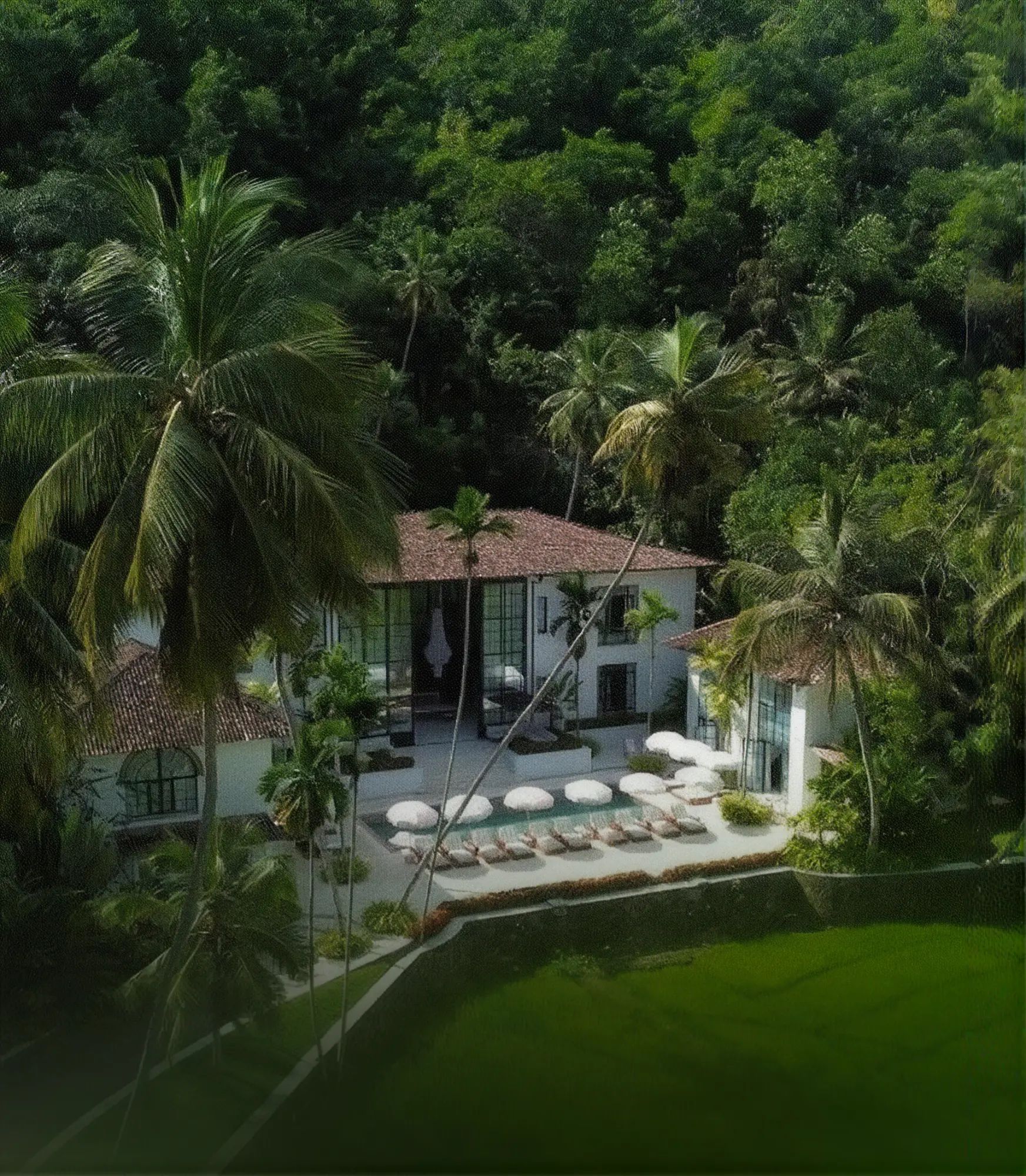 Aerial view of Miss Ceylon: white colonial buildings with Crittall windows and terracotta roofs around a pool lined with parasols, set among palms, jungle and paddy fields